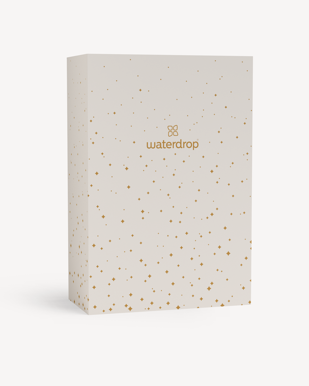 Christmas Gift Box (Reward)